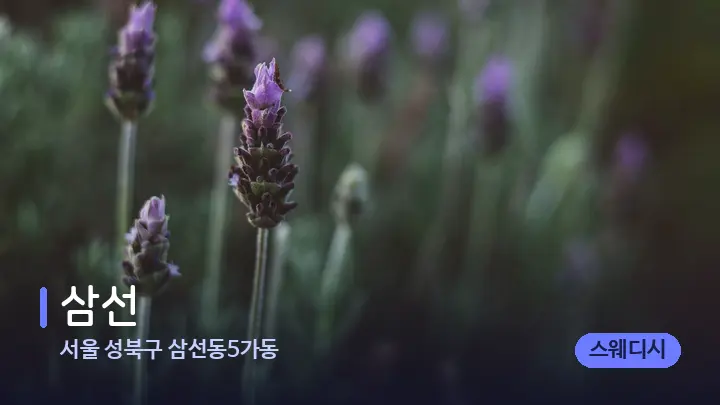 서울 성북구 삼선동5가동 삼선 — 아로마테라피 오일
