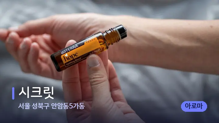 서울 성북구 안암동5가동 시크릿 — 아로마테라피 오일