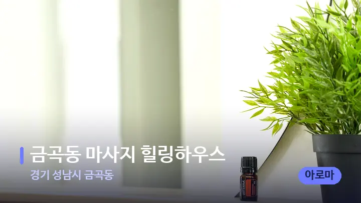 경기 성남시 금곡동 금곡동 마사지 힐링하우스 — 아로마테라피 오일