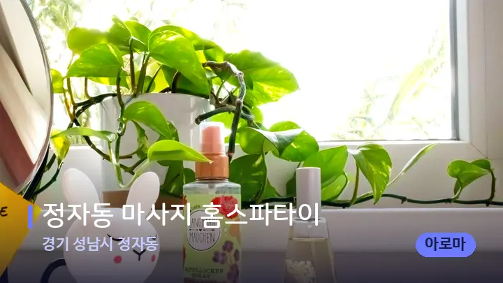 경기 성남시 정자동 정자동 마사지 홈스파타이 — 아로마테라피 오일