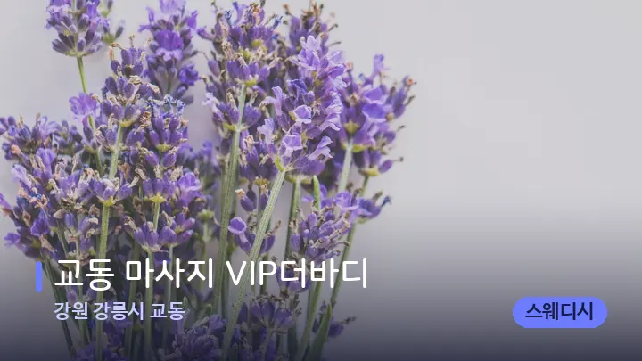 강원 강릉시 교동 교동 마사지 VIP더바디 — 아로마테라피 오일