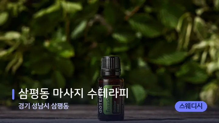 경기 성남시 삼평동 삼평동 마사지 수테라피 — 아로마테라피 오일