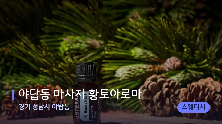 경기 성남시 야탑동 야탑동 마사지 황토아로마 — 아로마테라피 오일