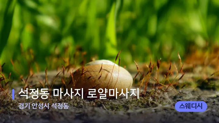 경기 안성시 석정동 석정동 마사지 로얄마사지 — 마사지용 스톤