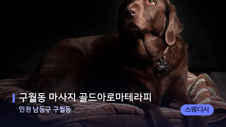 인천 남동구 구월동 구월동 마사지 골드아로마테라피 — 휴식 분위기의 스파 베드