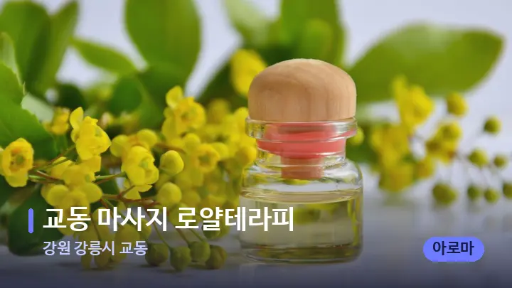 강원 강릉시 교동 교동 마사지 로얄테라피 — 아로마테라피 오일