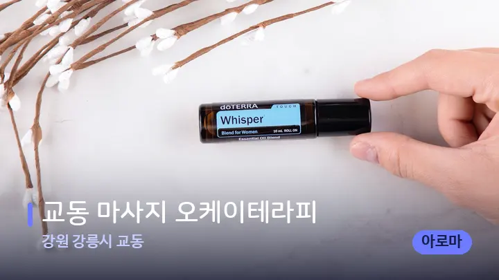 강원 강릉시 교동 교동 마사지 오케이테라피 — 아로마테라피 오일