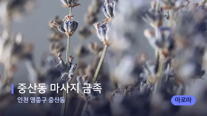 인천 영종구 중산동 중산동 마사지 금족 — 아로마테라피 오일
