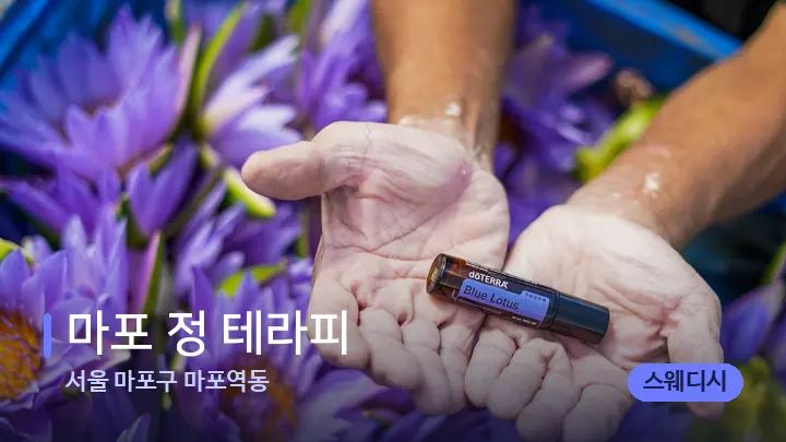 서울 마포구 마포역동 마포 정 테라피 — 아로마테라피 오일