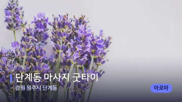 강원 원주시 단계동 단계동 마사지 굿타이 — 아로마테라피 오일