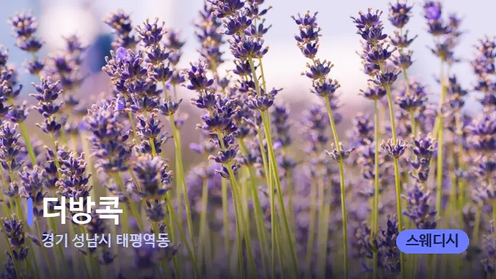 경기 성남시 태평역동 더방콕 — 아로마테라피 오일