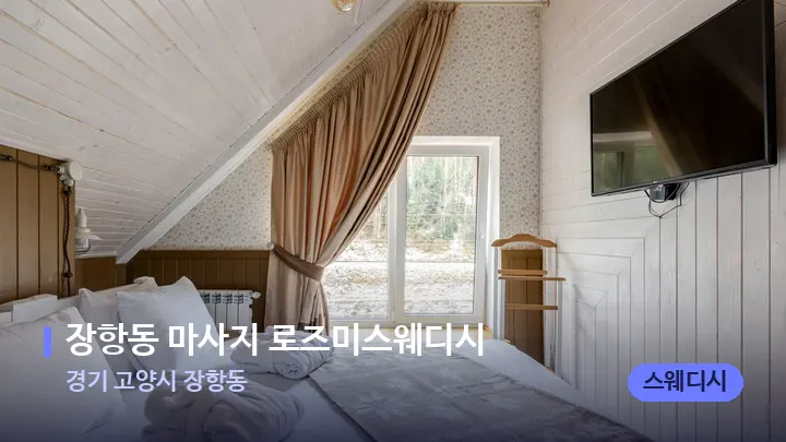경기 고양시 장항동 장항동 마사지 로즈미스웨디시 — 휴식 분위기의 스파 베드