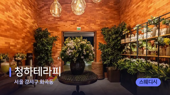 서울 강서구 화곡동 청하테라피 — 스파 프런트 공간