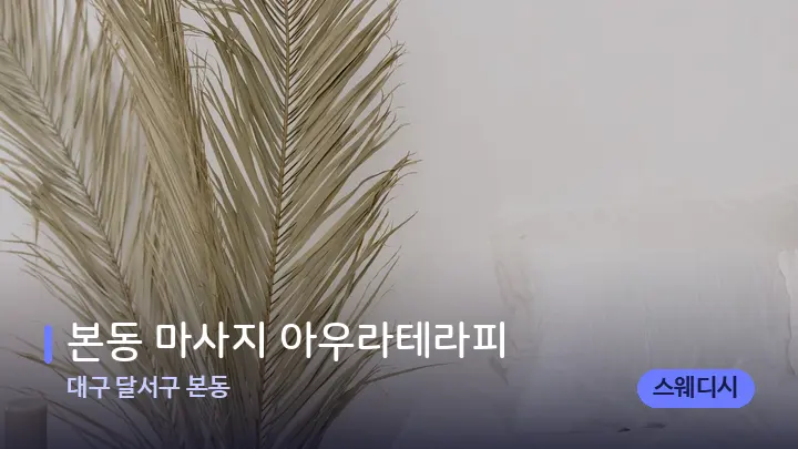 대구 달서구 본동 본동 마사지 아우라테라피 — 휴식 분위기의 스파 베드