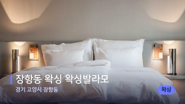 경기 고양시 장항동 장항동 왁싱 왁싱발라모 — 휴식 분위기의 스파 베드