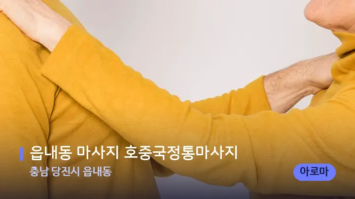충남 당진시 읍내동 읍내동 마사지 호중국정통마사지 — 어깨를 다루는 관리사의 손