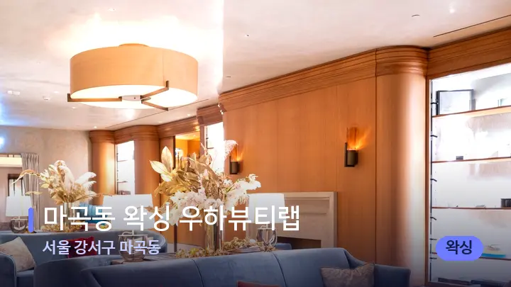 서울 강서구 마곡동 마곡동 왁싱 우하뷰티랩 — 스파 프런트 공간