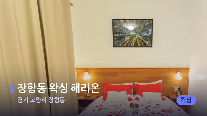 경기 고양시 장항동 장항동 왁싱 해리온 — 휴식 분위기의 스파 베드