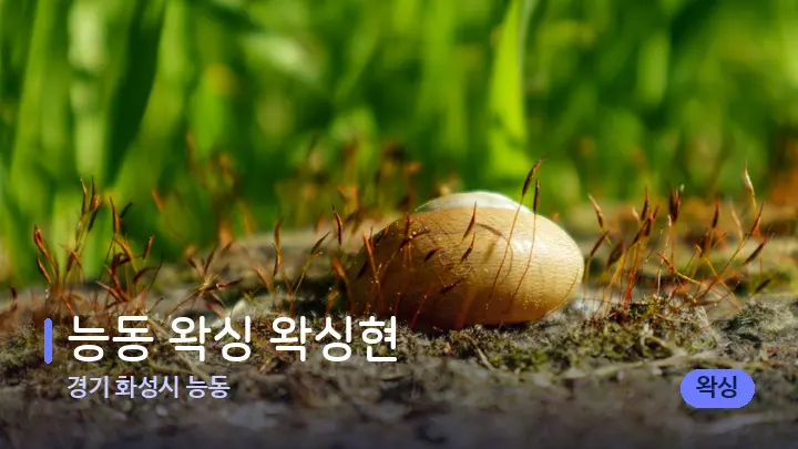 경기 화성시 능동 능동 왁싱 왁싱현 — 마사지용 스톤