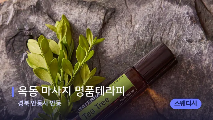 경북 안동시 안동 옥동 마사지 명품테라피 — 아로마테라피 오일