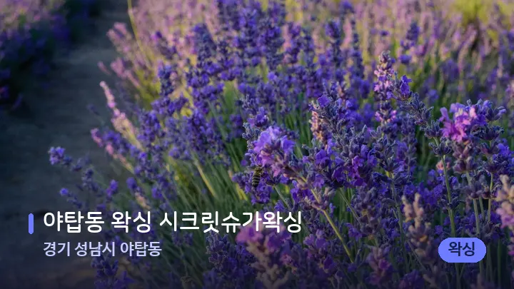 경기 성남시 야탑동 야탑동 왁싱 시크릿슈가왁싱 — 아로마테라피 오일