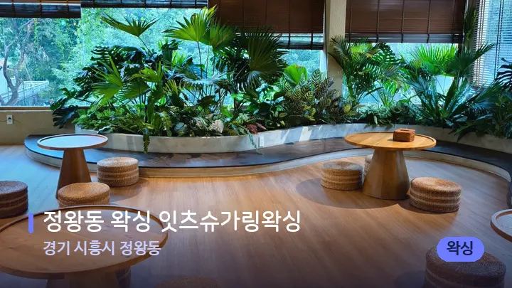 경기 시흥시 정왕동 정왕동 왁싱 잇츠슈가링왁싱 — 웰니스 스파 공간