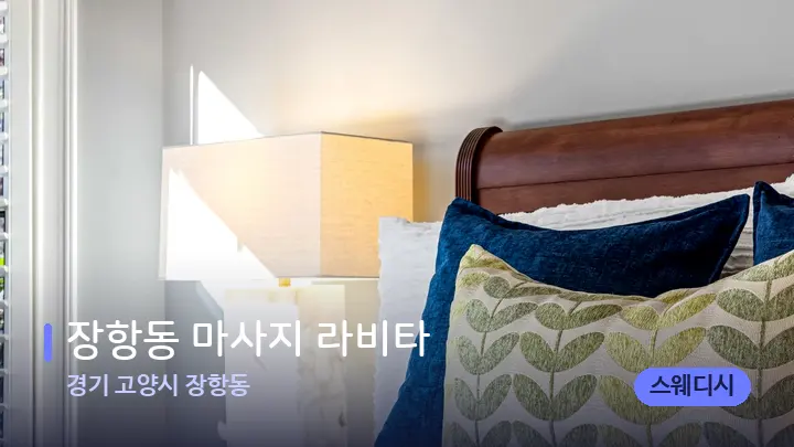 경기 고양시 장항동 장항동 마사지 라비타 — 휴식 분위기의 스파 베드