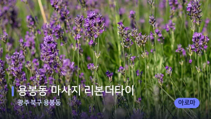 광주 북구 용봉동 용봉동 마사지 리본더타이 — 아로마테라피 오일