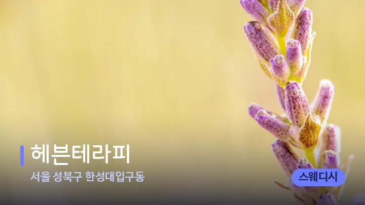 서울 성북구 한성대입구동 헤븐테라피 — 아로마테라피 오일