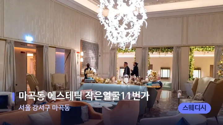 서울 강서구 마곡동 마곡동 에스테틱 작은얼굴11번가 — 스파 프런트 공간