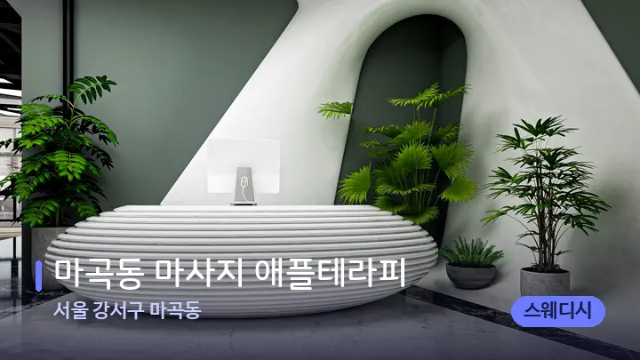 서울 강서구 마곡동 마곡동 마사지 애플테라피 — 스파 프런트 공간