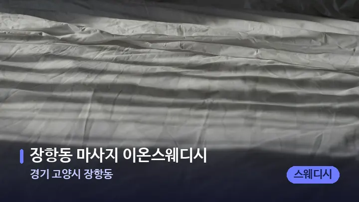 경기 고양시 장항동 장항동 마사지 이온스웨디시 — 휴식 분위기의 스파 베드