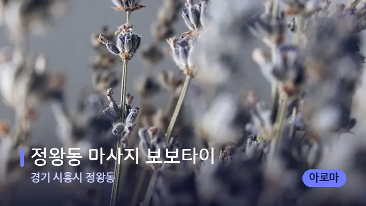 경기 시흥시 정왕동 정왕동 마사지 보보타이 — 아로마테라피 오일