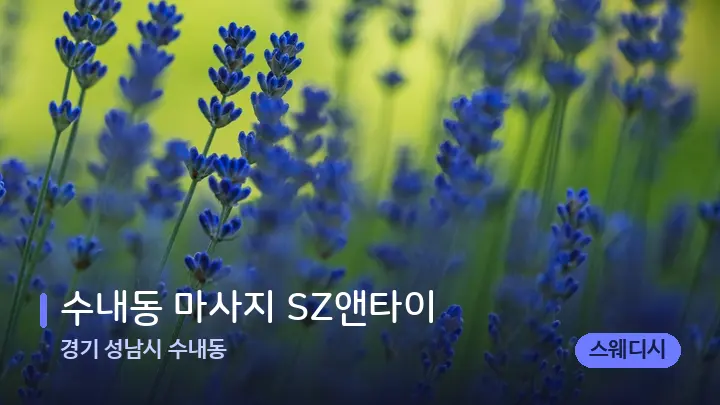 경기 성남시 수내동 수내동 마사지 SZ앤타이 — 아로마테라피 오일