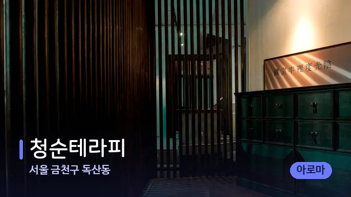 서울 금천구 독산동 청순테라피 — 스파 프런트 공간