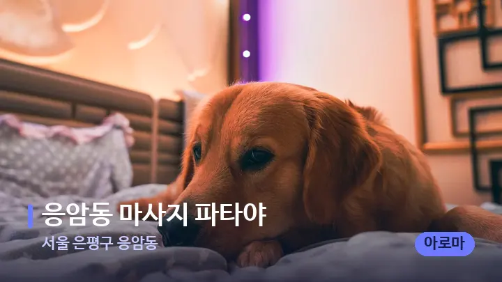 서울 은평구 응암동 응암동 마사지 파타야 — 휴식 분위기의 스파 베드