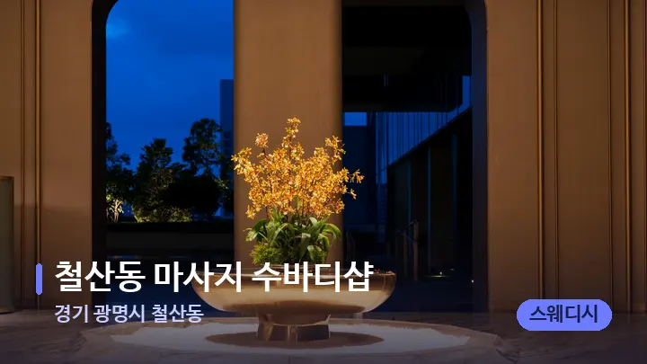 경기 광명시 철산동 철산동 마사지 수바디샵 — 스파 프런트 공간