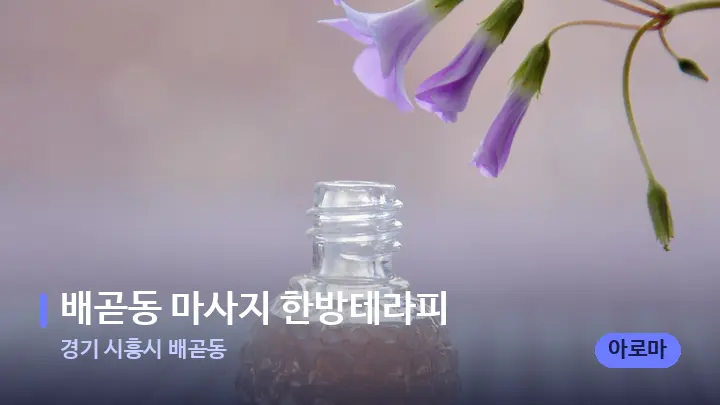경기 시흥시 배곧동 배곧동 마사지 한방테라피 — 아로마테라피 오일