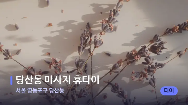 서울 영등포구 당산동 당산동 마사지 휴타이 — 아로마테라피 오일