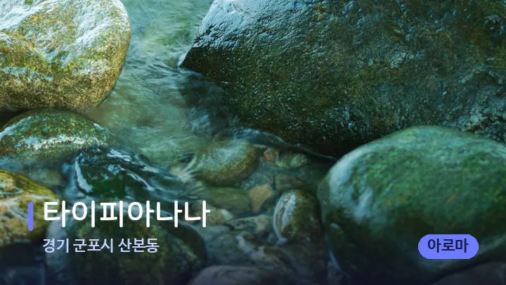 경기 군포시 산본동 타이피아나나 — 마사지용 스톤