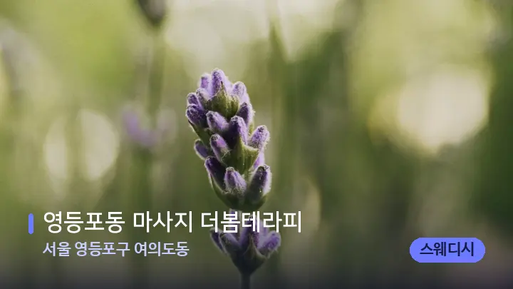 서울 영등포구 여의도동 영등포동 마사지 더봄테라피 — 아로마테라피 오일