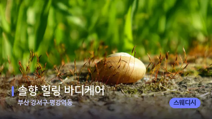 부산 강서구 평강역동 솔향 힐링 바디케어 — 마사지용 스톤