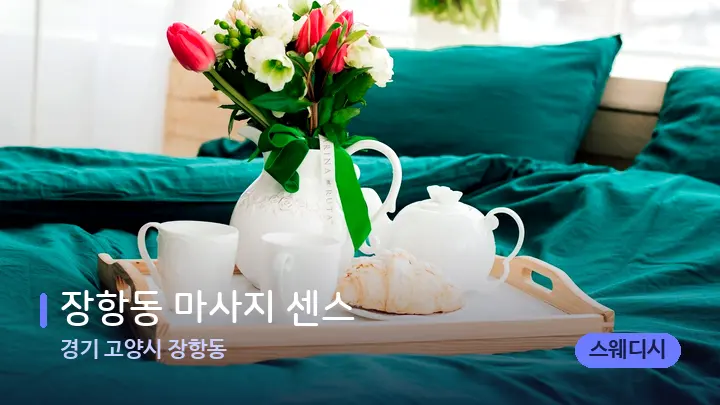 경기 고양시 장항동 장항동 마사지 센스 — 휴식 분위기의 스파 베드