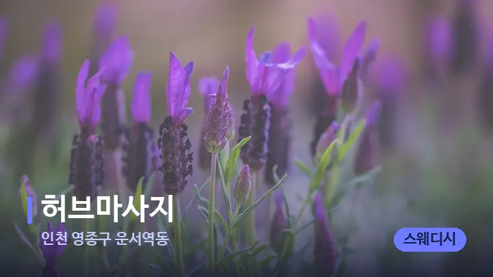 인천 영종구 운서역동 허브마사지 — 아로마테라피 오일