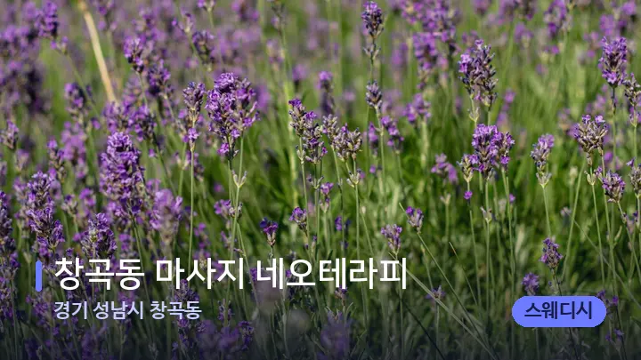 경기 성남시 창곡동 창곡동 마사지 네오테라피 — 아로마테라피 오일