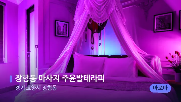 경기 고양시 장항동 장항동 마사지 주윤발테라피 — 휴식 분위기의 스파 베드