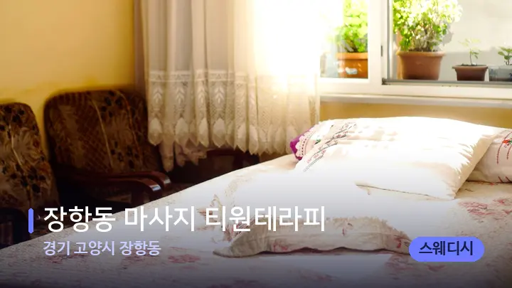 경기 고양시 장항동 장항동 마사지 티원테라피 — 휴식 분위기의 스파 베드