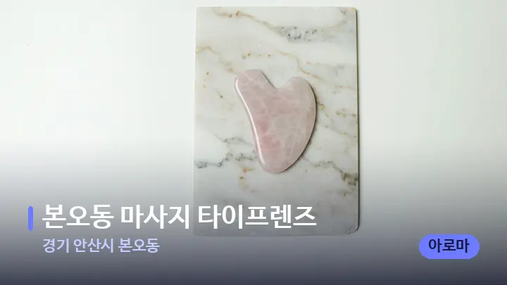 경기 안산시 본오동 본오동 마사지 타이프렌즈 — 마사지용 스톤