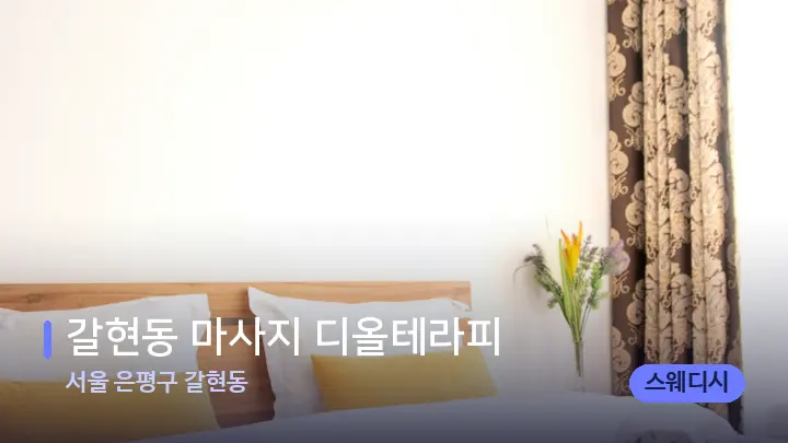 서울 은평구 갈현동 갈현동 마사지 디올테라피 — 휴식 분위기의 스파 베드
