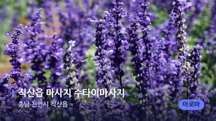 충남 천안시 직산읍 직산읍 마사지 수타이마사지 — 아로마테라피 오일